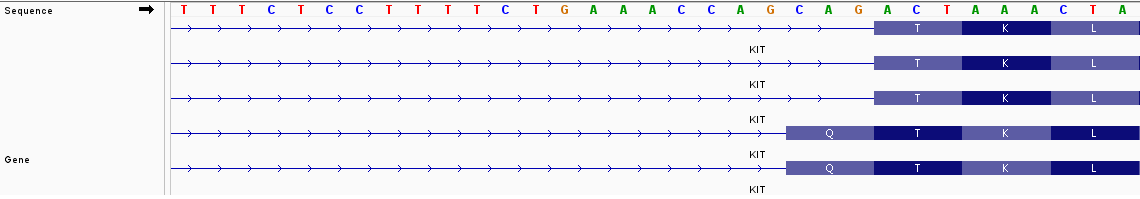 KIT Isoform Structure