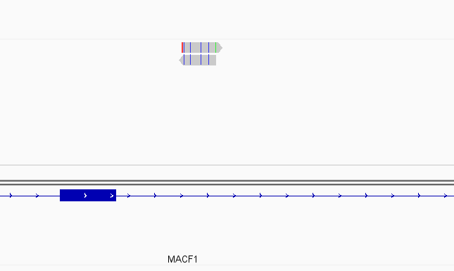 Another read assigned to gene as expected with nonOverlap = 0