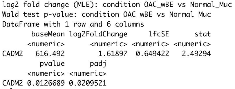DESEQ2 result shows OAC_wBE has higher expression than Normal Muc