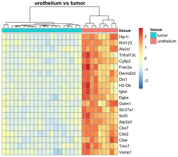 This is the tissue_urothelium_vs_tumor heatmap