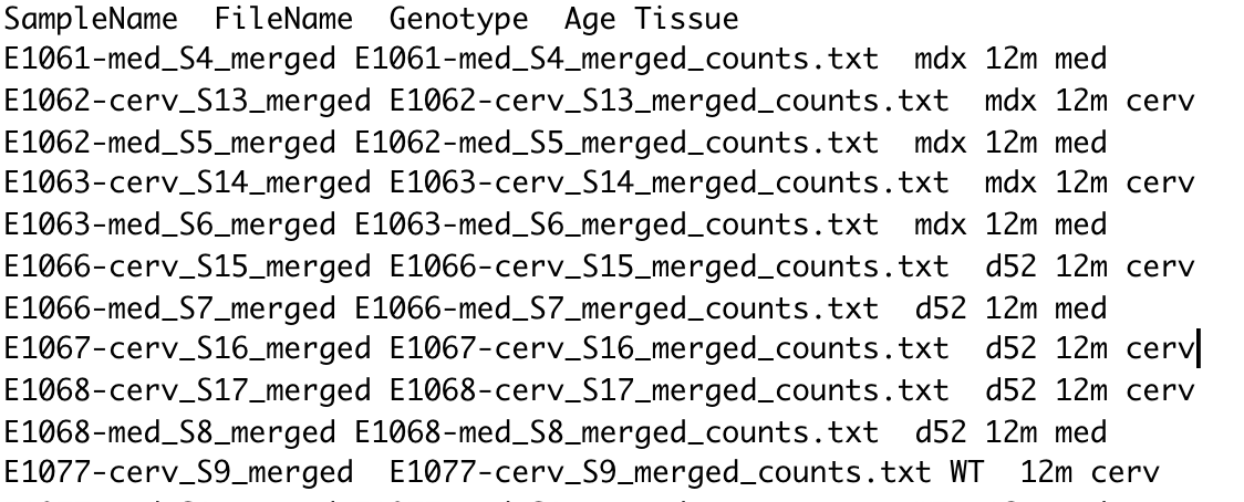 Here is what the sample sheet/table looks like. This genotype is divided into "mdx" and "WT" on the 3rd column.