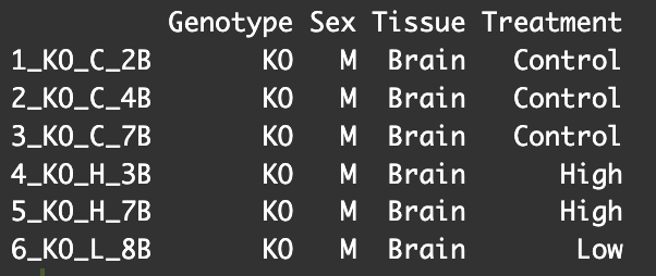 image contains headers (Tissue, Genotype, Treatment, Sex) and first 6 lines of sample information from allMetadata
