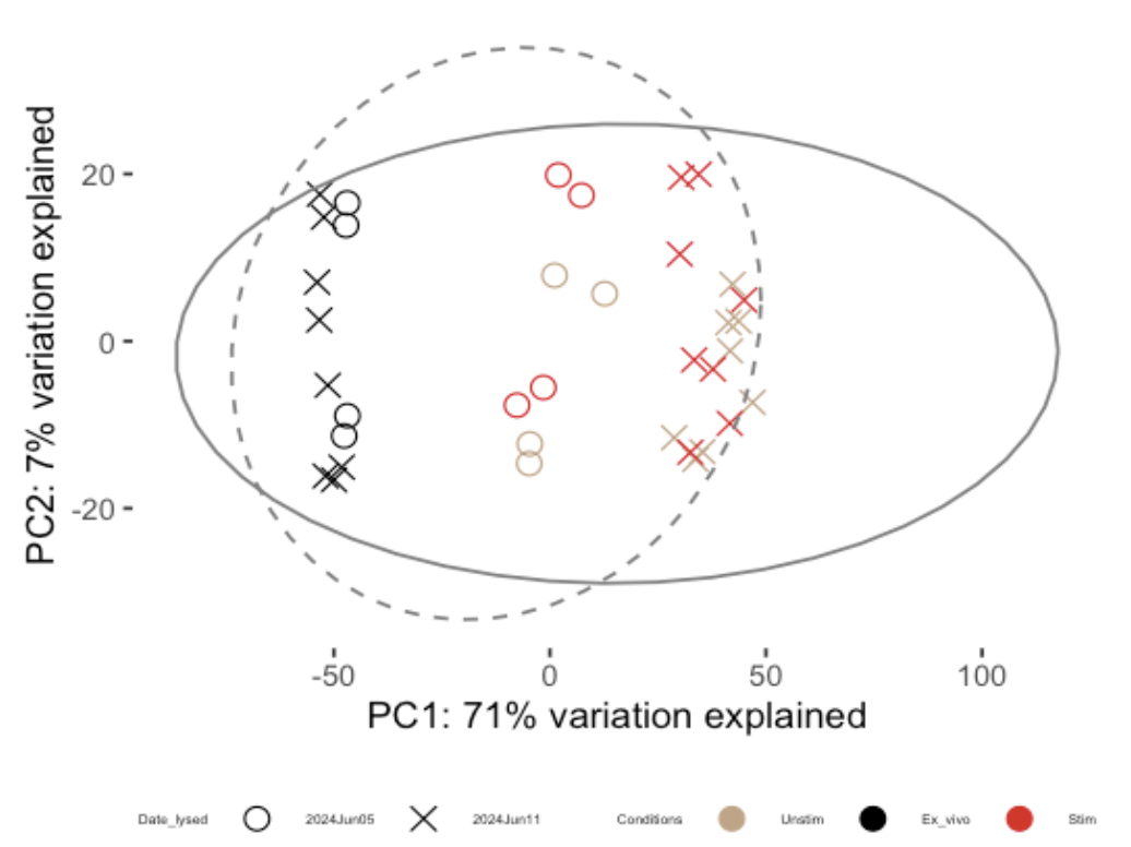 Pre-adjustment: X and circles indicate the 2 days of running