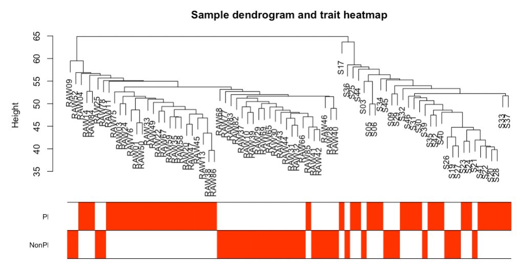 the dendrogram of sample of their log2(RPM+1)