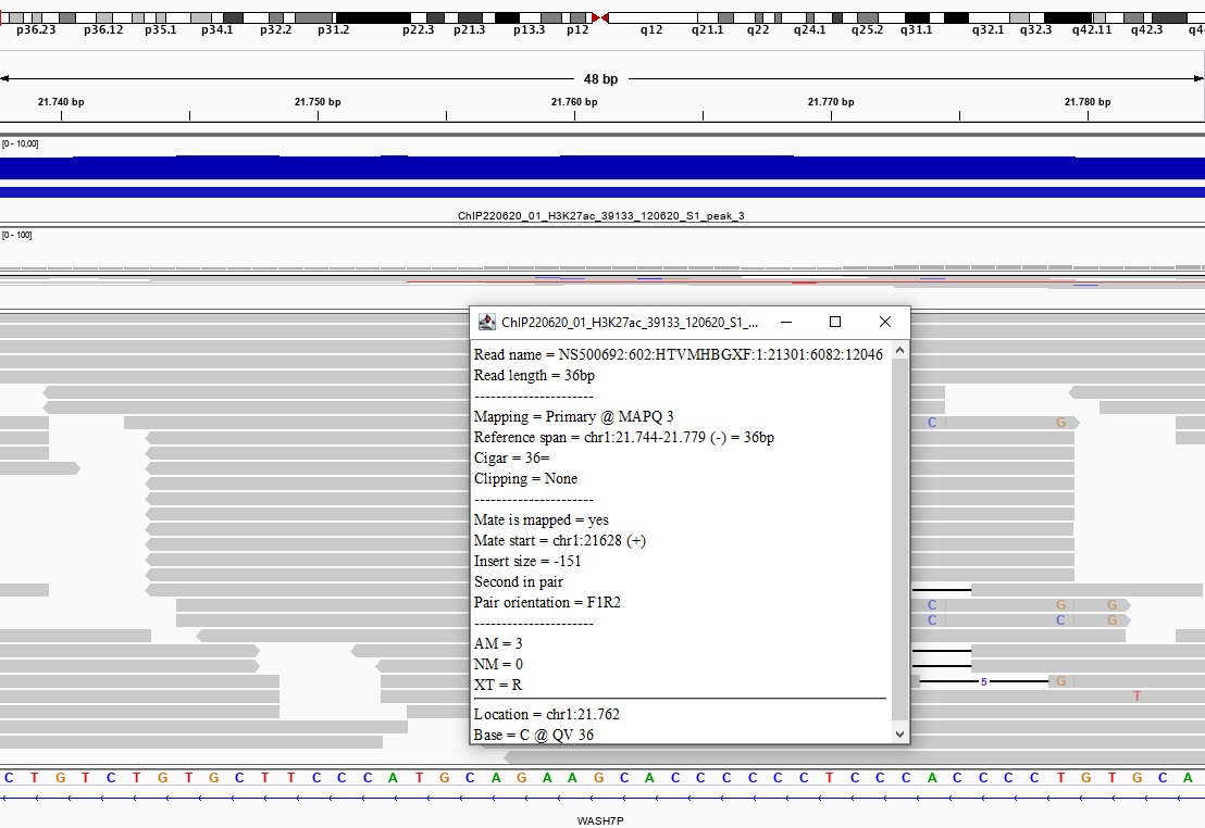 IGV view of the BAM file, with pop-up window showing a MAPQ of 3