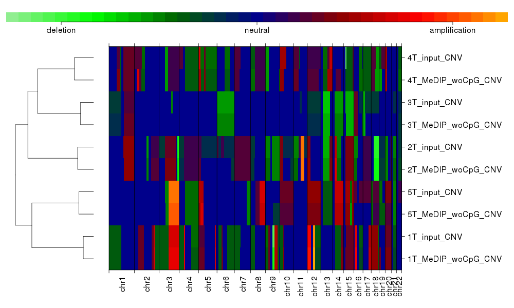 Comparison of CNV estimates from MeDIP and input seq. Heatmap representation of whole genome CNV profiles for the PDX samples, estimated using MeDIP and input seq. Lines are ordered by hierarchical clustering, based on Euclidian distance between CNV profiles.